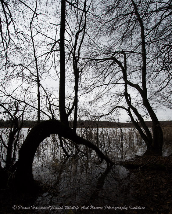 20131109-_ND48208
