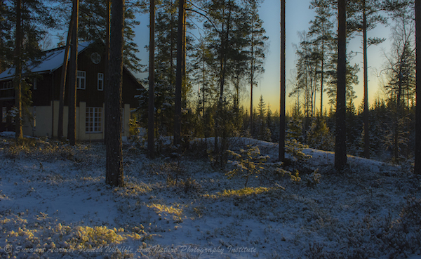 20140113-_DSC4302